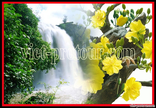 Tour du lịch Đà Lạt tết Nguyên Đán 2024