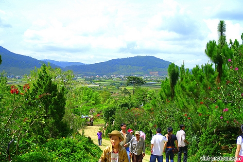 Tổng hợp các chương trình Tour Du Lịch Đà Lạt