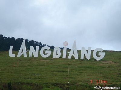 Tour du lịch Đà Lạt 3 ngày 2 đêm