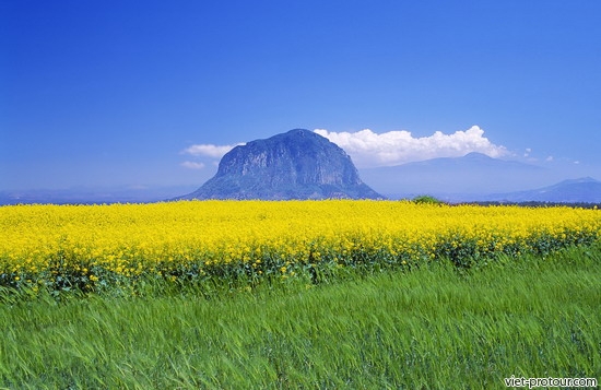 Tour du lịch Hàn Quốc giá rẻ