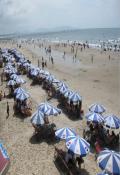 VietProTour-Tổ Chức Tour Chuyên Nghiệp