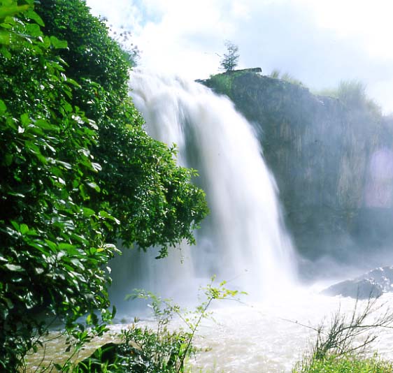 tour du lịch đà lạt